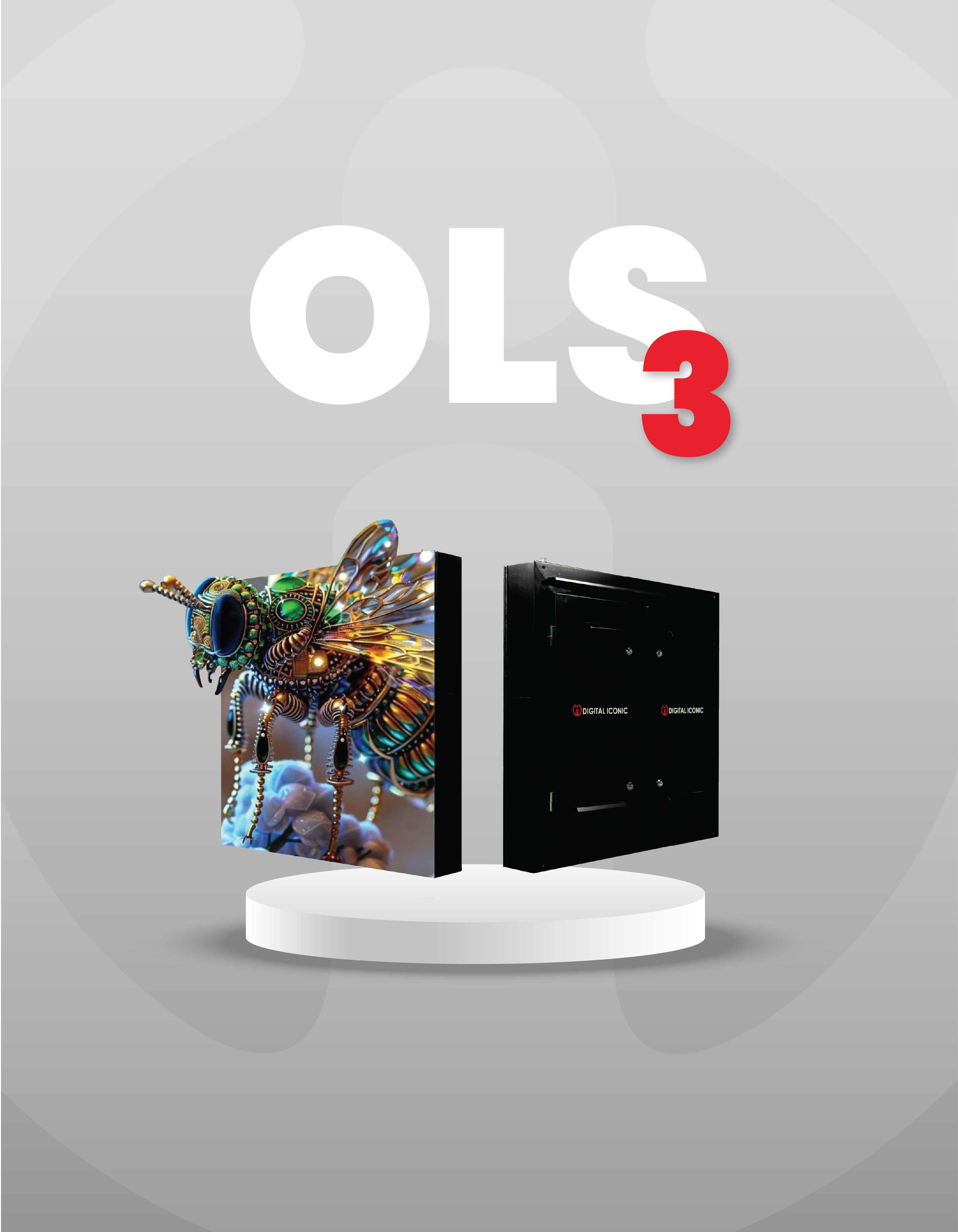 
                        OLS 3