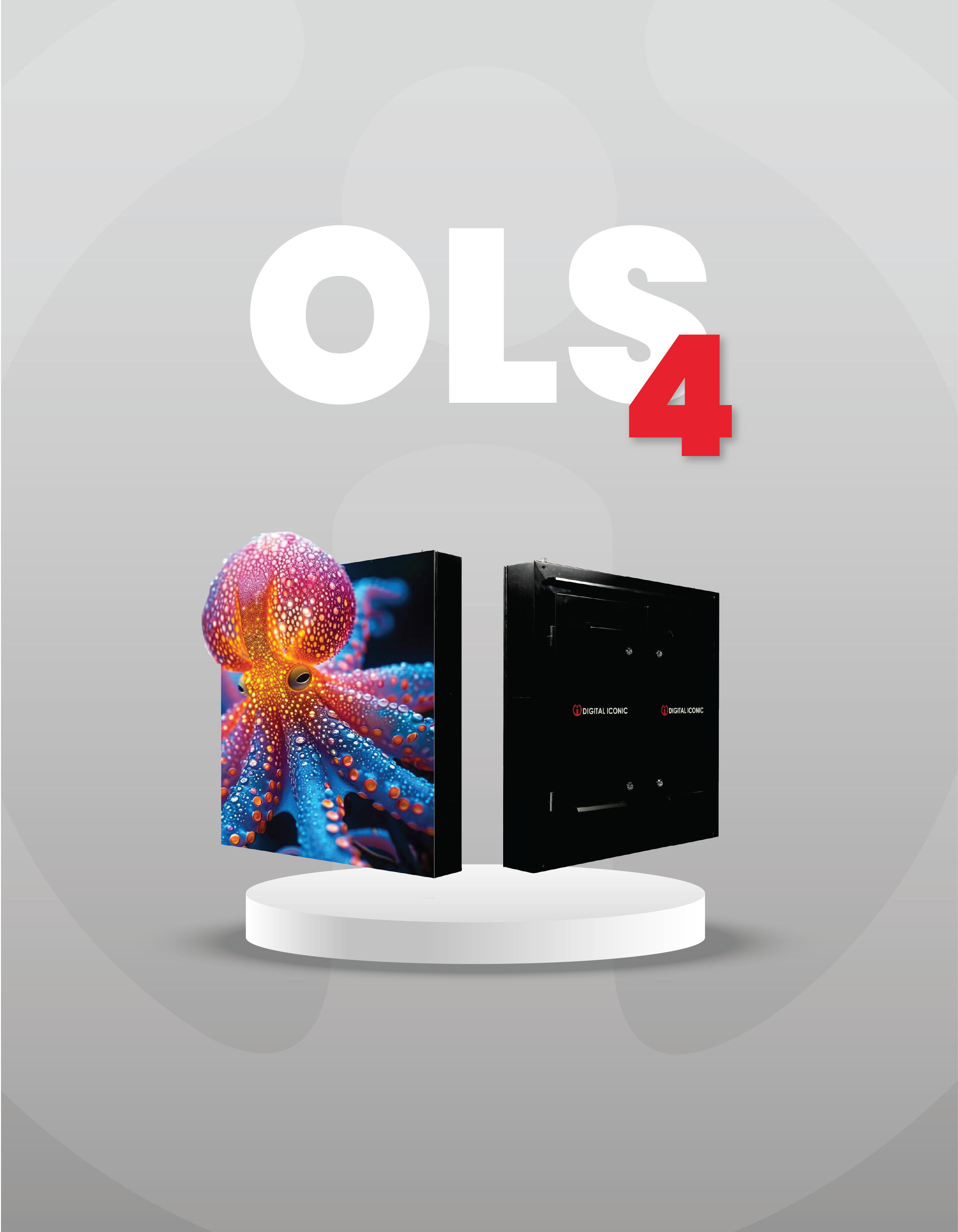
                         OLS 4
